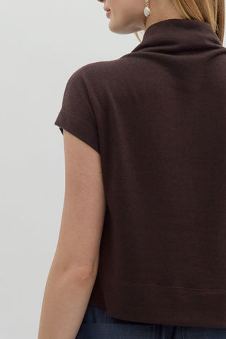 Fall Go To Brown Mock Neck Knit Top